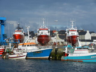 Location  Maison - Villa 