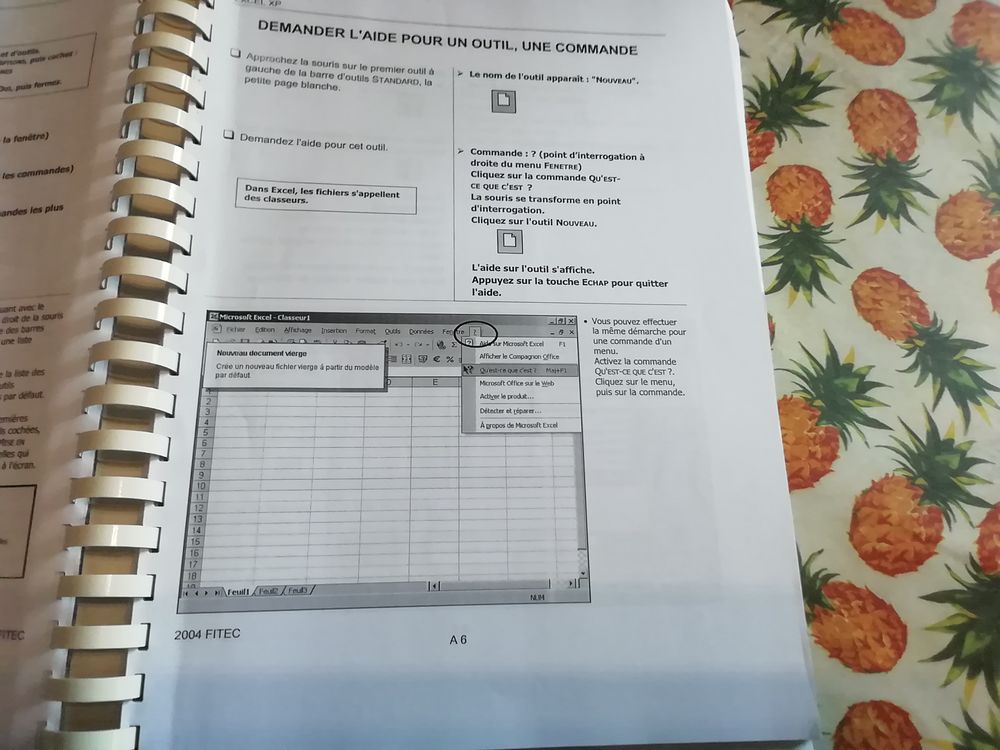 Cahier initiation EXEL XP stage FITEC Matériel informatique