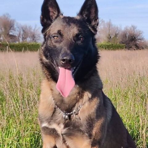 THOR 300 26100 Romans-sur-is�re