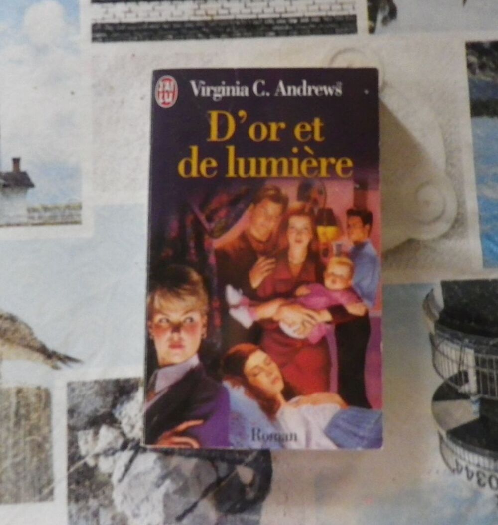 D'OR ET DE LUMIERE T3 LA FAMILLE LANDRY Virginia C. ANDREWS Livres et BD