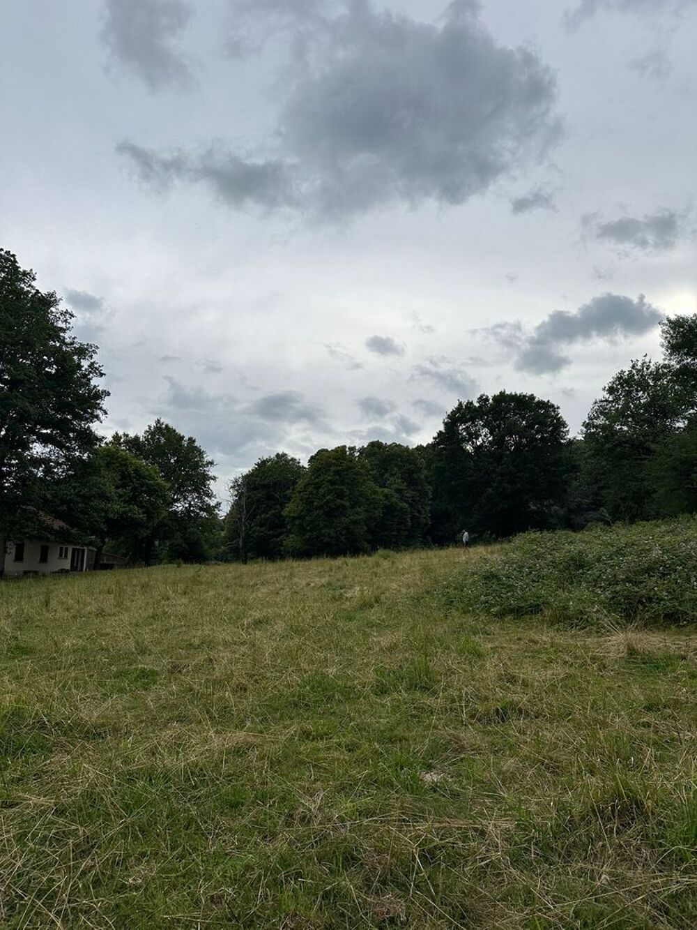 Vente Terrain Terrain avec vue dégagée Saint-sulpice-le-guérétois