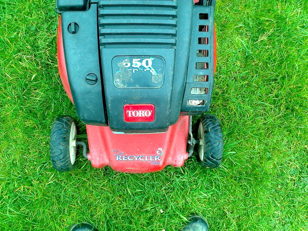 tondeuse non tract&eacute;e TORO Jardin