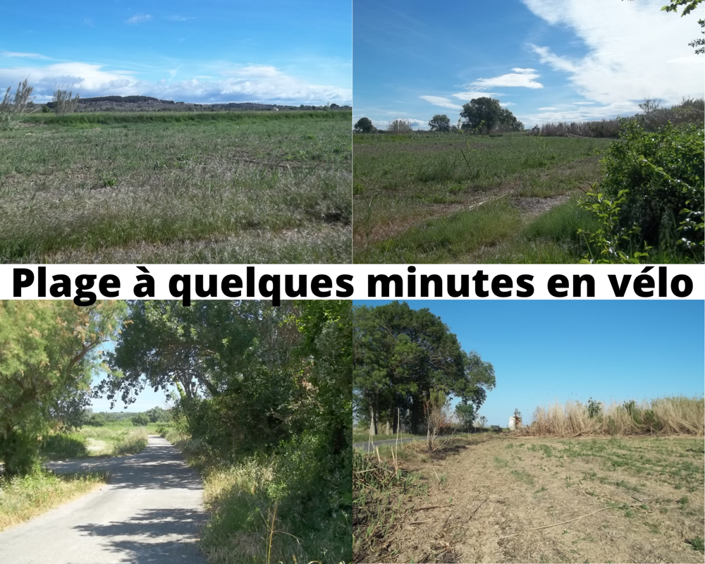Location Terrain Terrain de loisir, jardin au bord de l'Aude, entre Lespignan Fleury