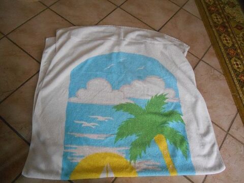 LOT DE DEUX SERVIETTES DE PLAGE 9 Saint-Denis-en-Val (45)