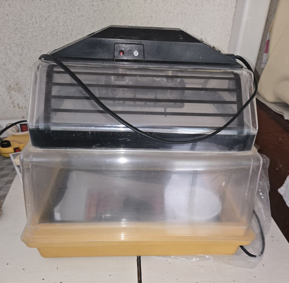 Eleveuse Brisea Bricolage