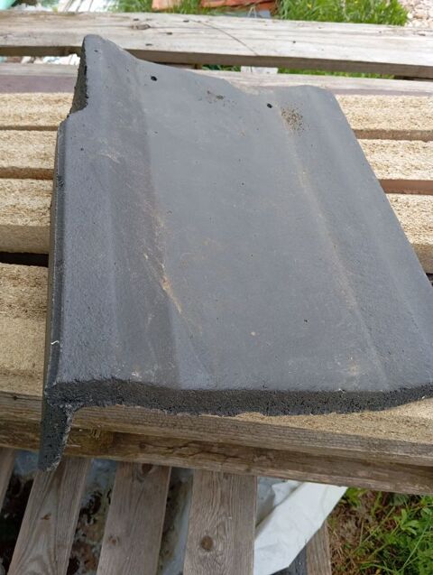 Tuile de rive Gauche 6 Velanne (38)