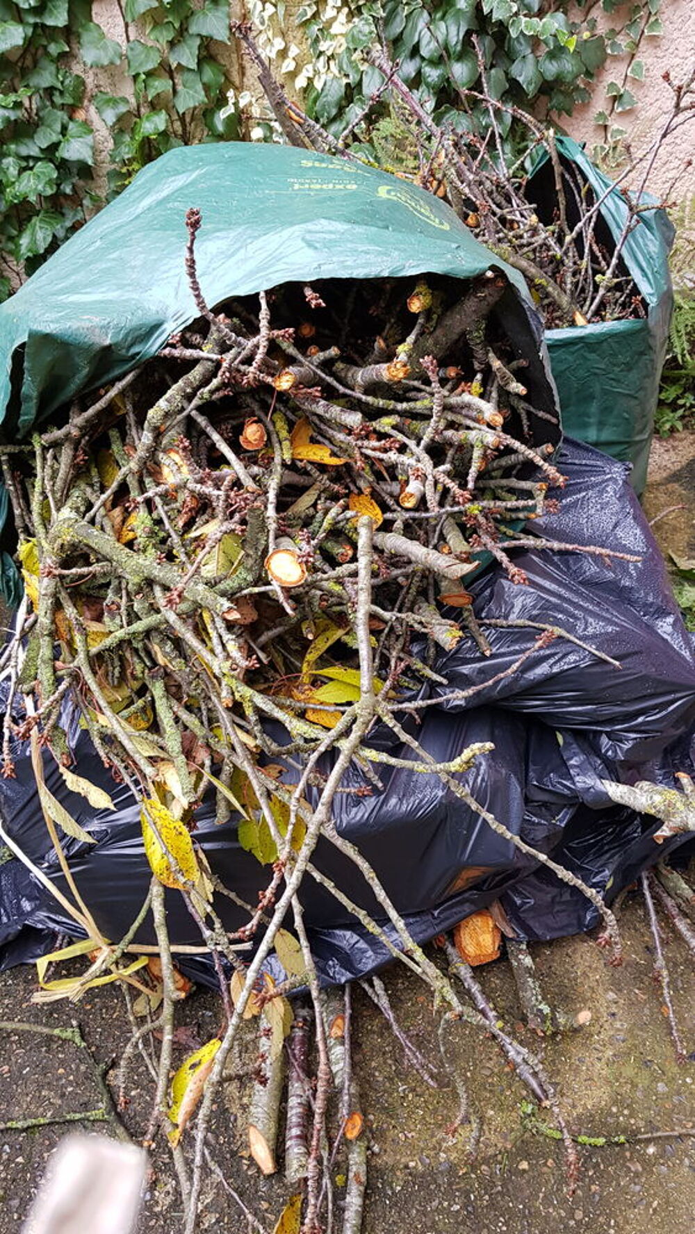 Bois merisier plusieurs longueurs Jardin
