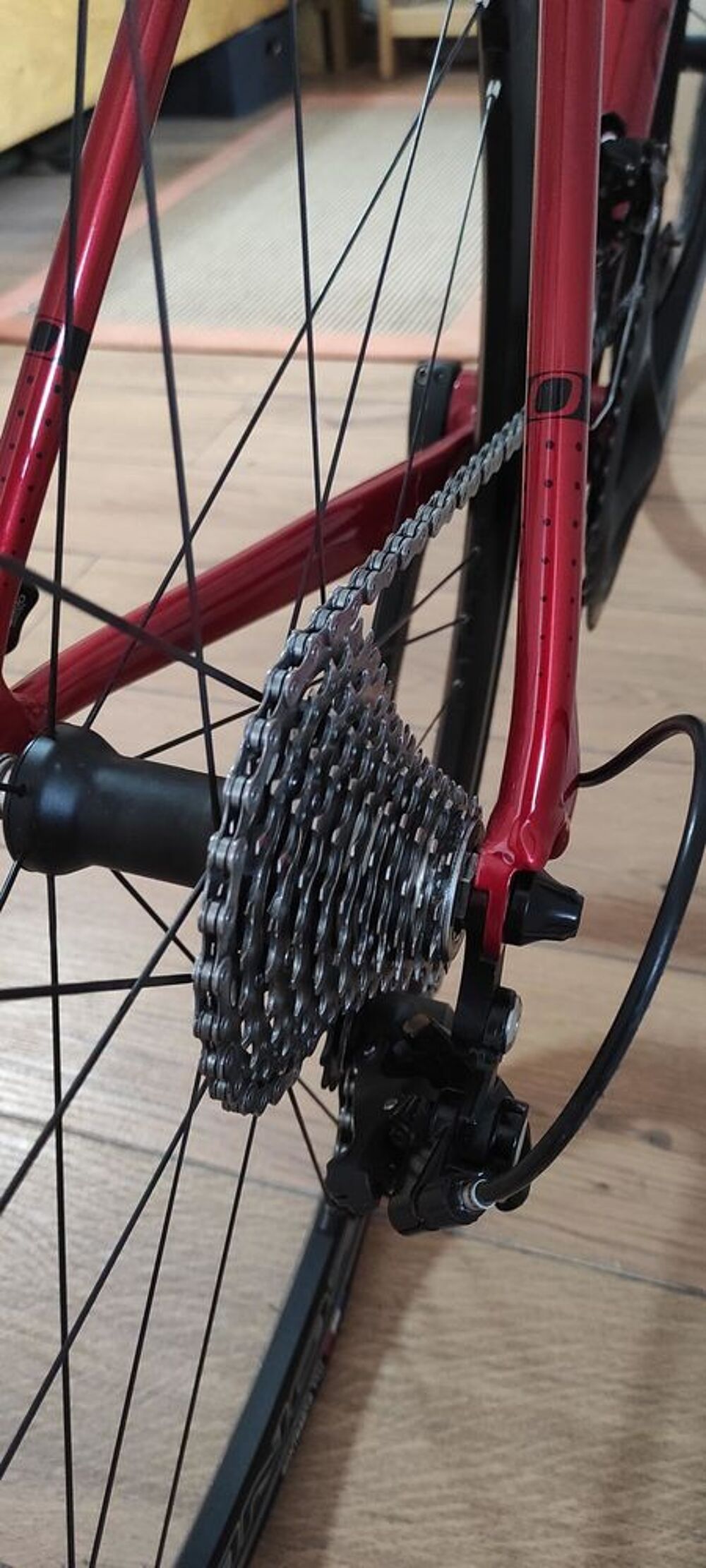 V&eacute;lo de route Orgine tuxedo ann&eacute;e 2021 Vélos