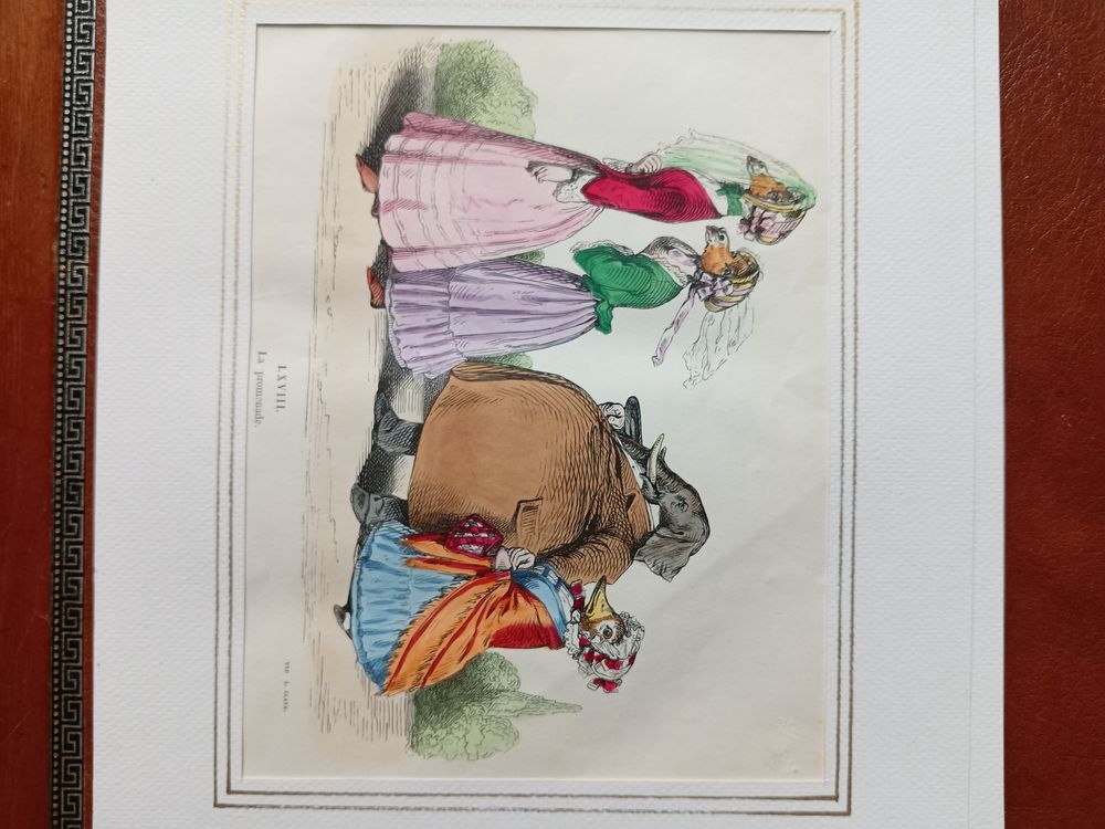 65 GRAVURES DE GRANVILLE LES METAMORPHOSES DU JOUR 
