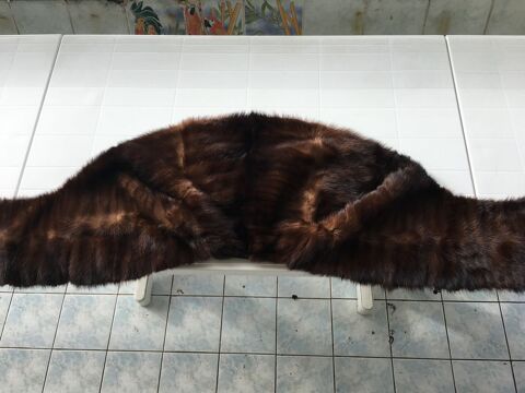 Etole en vison 80 Antibes (06)