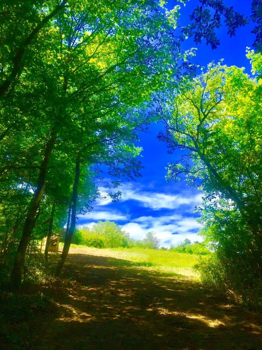 � vendre  Propri�t�/ch�teau Samatan (32130)