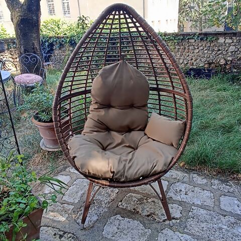 FAUTEUIL OEUF OSIER Chartres (28)