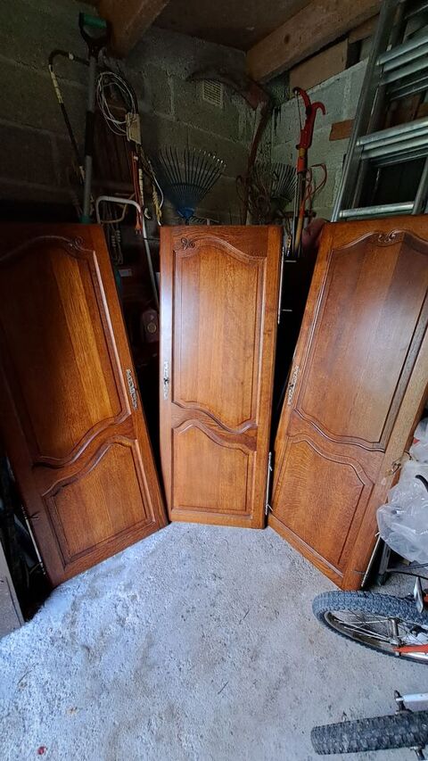 3 portes d'armoire rustique 10 Saint-Hilaire-sous-Romilly (10)