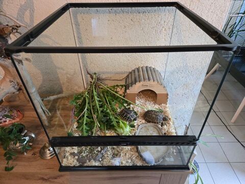 Tararium avec accessoires 
35 85170 Beaufou