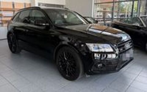 SQ5 2026 occasion 20260 Calvi