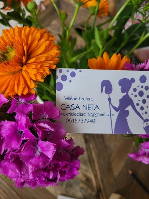 Ménage, particuliers et vacances 0 83400 Hyres