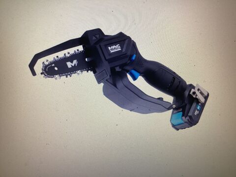 Tron�onneuse �lagueuse 70 Beychac-et-Caillau (33)