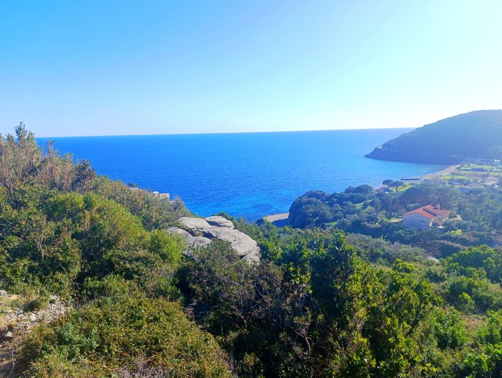 Vente Terrain A vendre , terrain constructible , vue mer et montagne , Sisco , Cap Corse Sisco