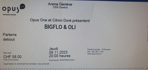 Places bigflo et oli Genve le 9 nov 60 Bogve (74)