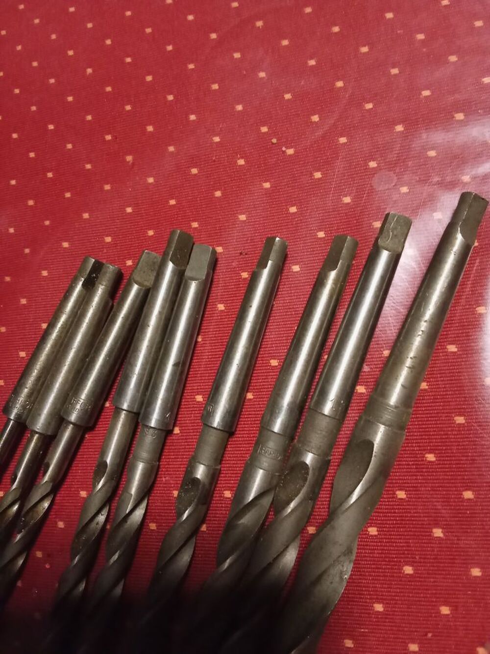 9 For&ecirc;ts coniques Bricolage