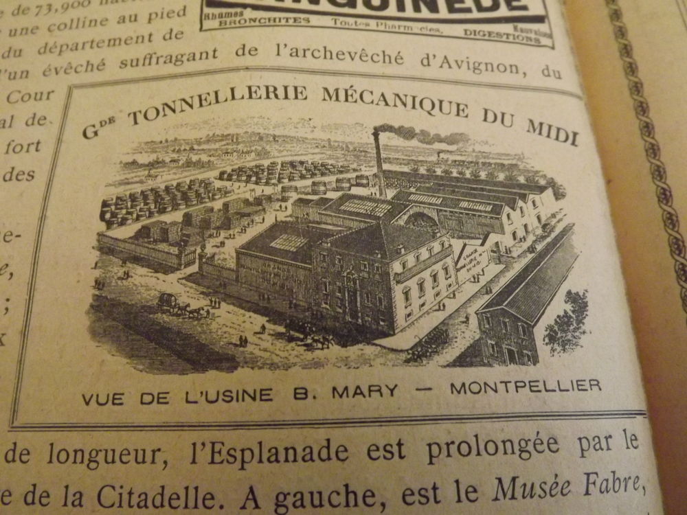 Guide album des chemins de fer PLM Livres et BD