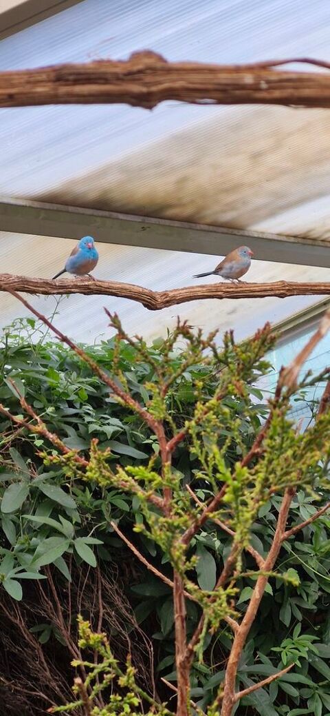 Cap bleue 60 31220 Le plan