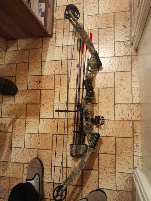 Arc de chasse 250 Dourdain (35)