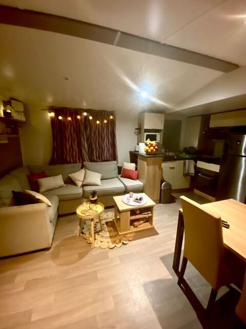 Mobil-Home Mobil-Home 2017 occasion Onzain 41150