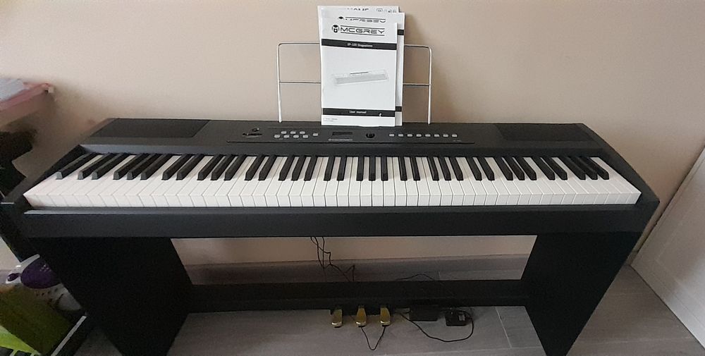 Piano sp100 McGrey 88 touches Instruments de musique