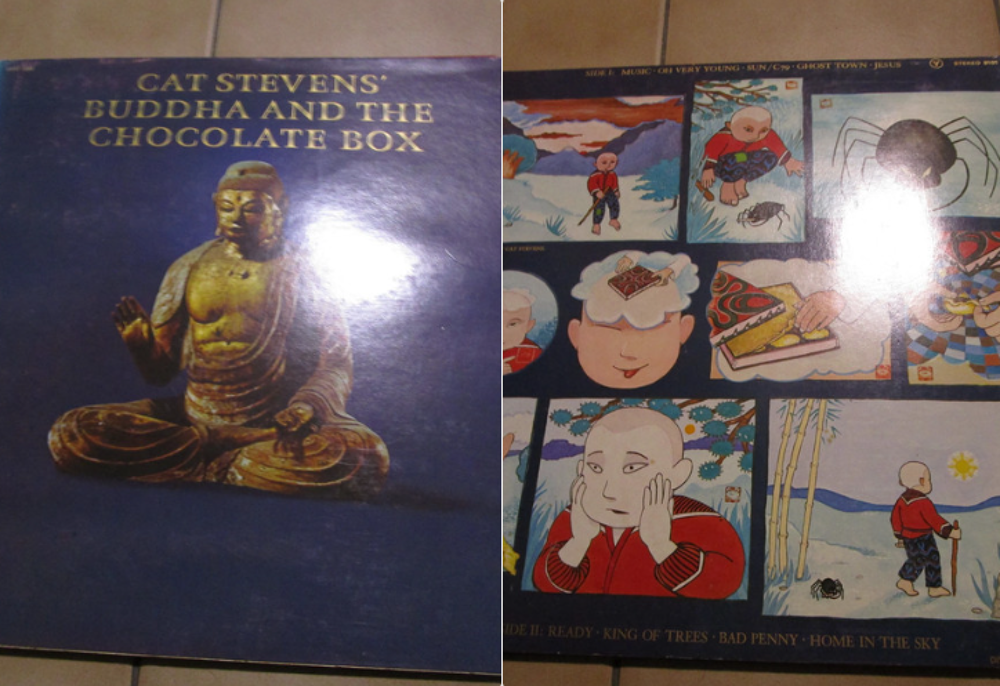vinyle 33tours collection CD et vinyles