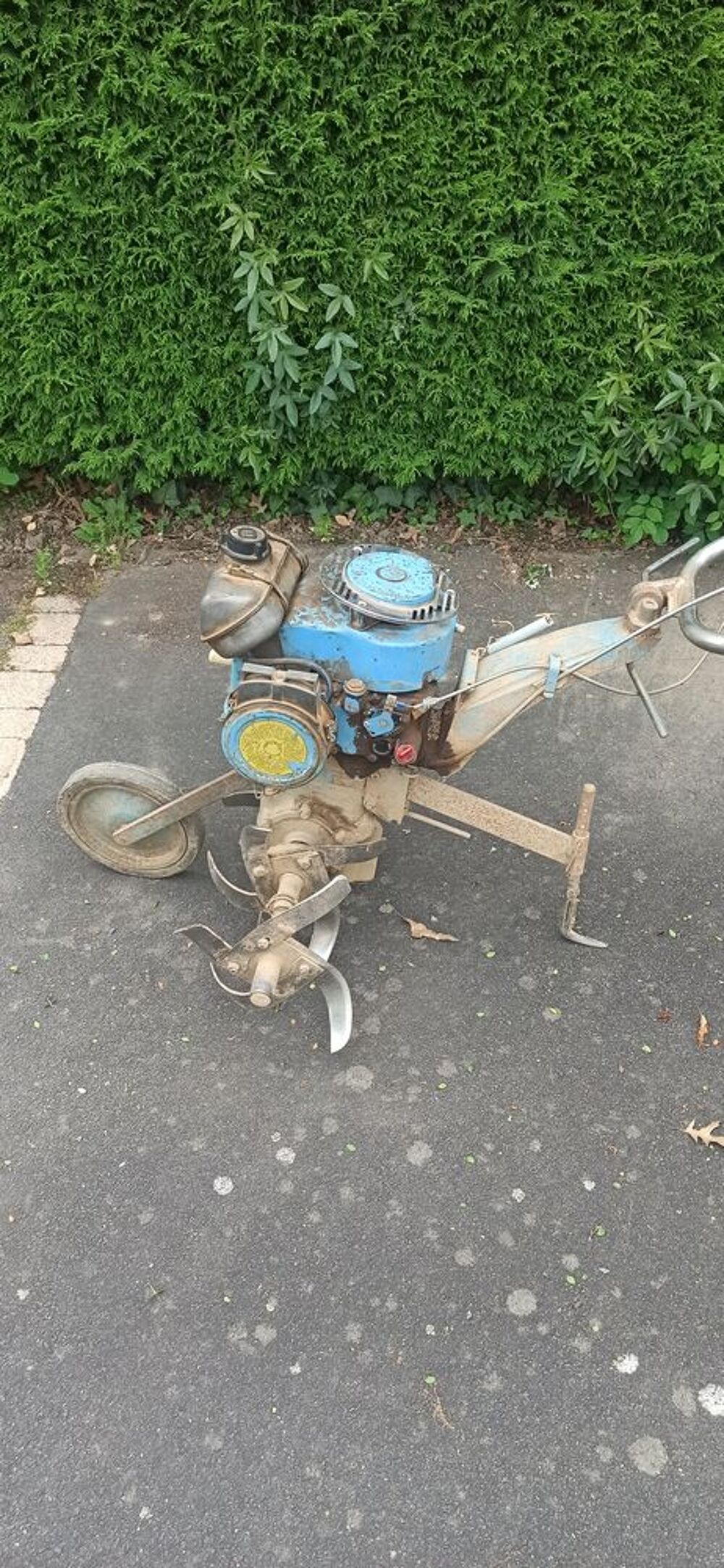 motobineuse Jardin