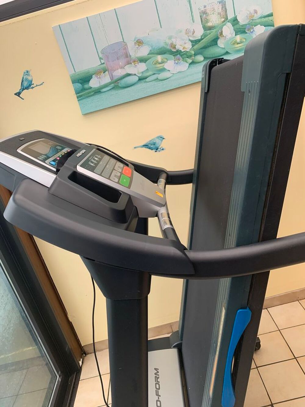 Tapis de marche pro Sports