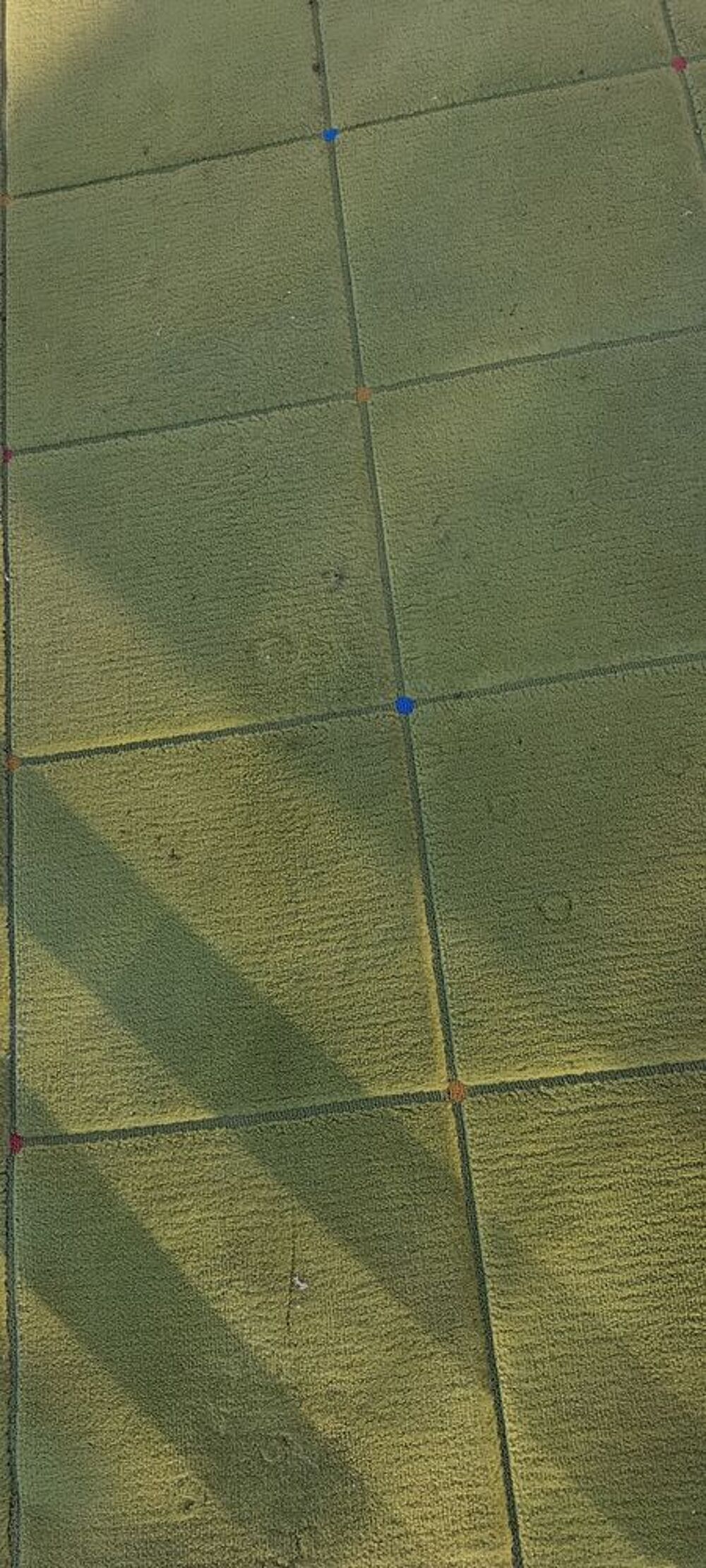2 tapis Décoration