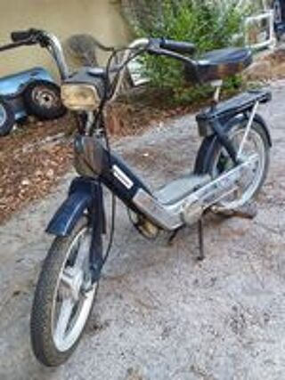  1981 occasion 33600 Pessac