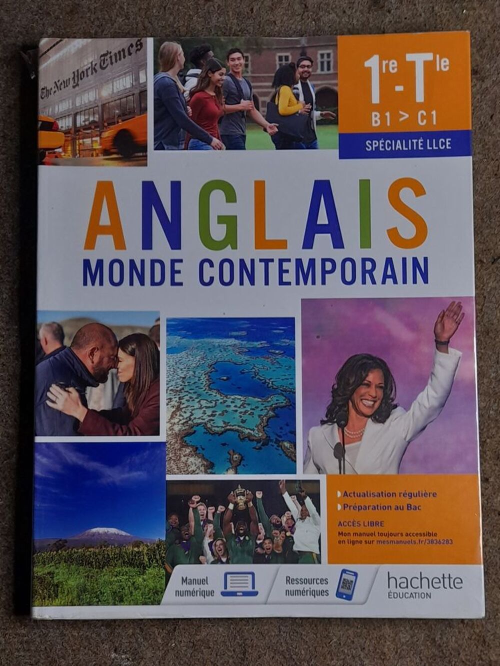 Manuel sp&eacute;cialit&eacute; terminale AMC Hachette lyc&eacute;e acajou 2 Livres et BD