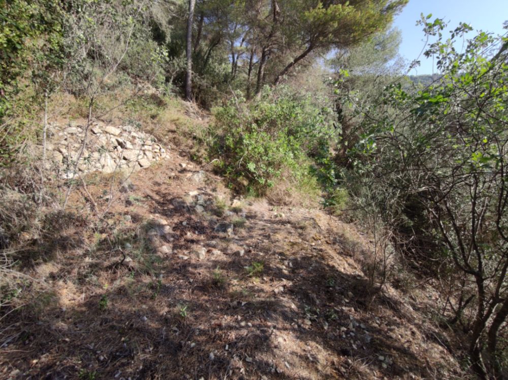 Vente Terrain CANTARON Terrain de loisirs Cantaron