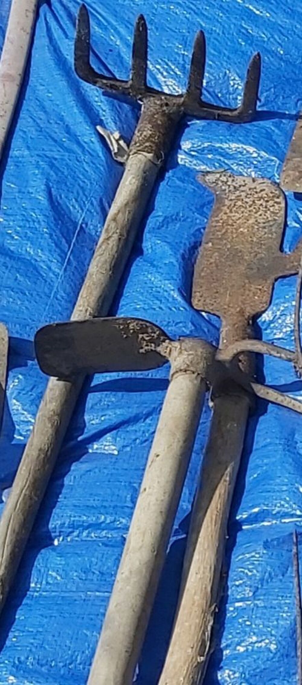 Lot d outils anciens pour le jardin Jardin