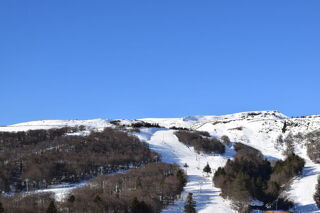 Location  Appartement 