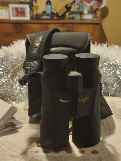 jumelles nikon pro stafff12 par 50 140 Machecoul (44)