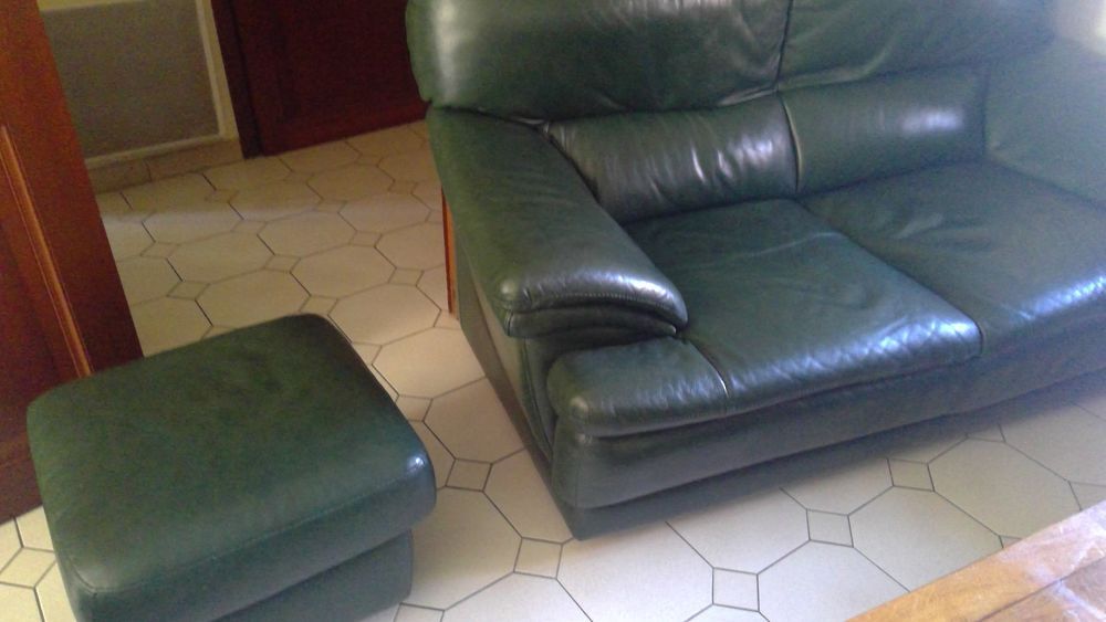SALON CUIR VERT Meubles