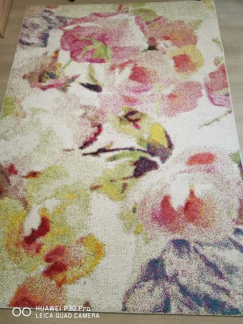 Tapis 100 Quévert (22)