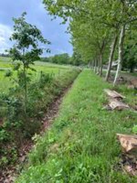   Entretien et aménagement de vos espaces extérieurs 