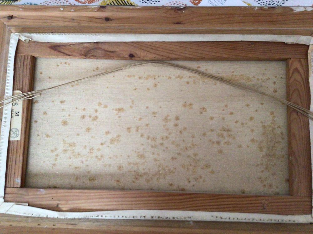 TABLEAU (toile et cadrel ecole d agriculture
Rouceux Dcoration