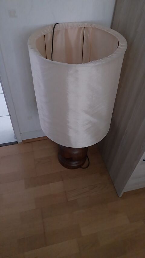 lampe 50 Ligueil (37)