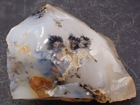 Opale � Dendrites , Steenalees , Cornouailles , Angleterre 22 Bertrichamps (54)