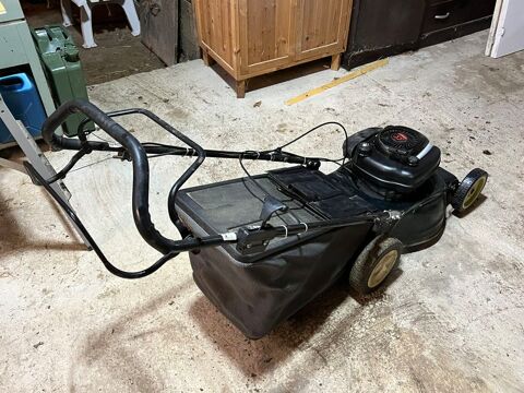 Tondeuse 110 Molain (39)