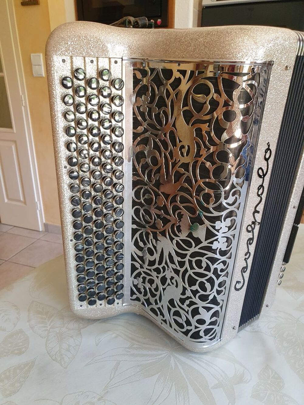 Accordeon. Avagnolo Instruments de musique