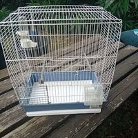   Cage  