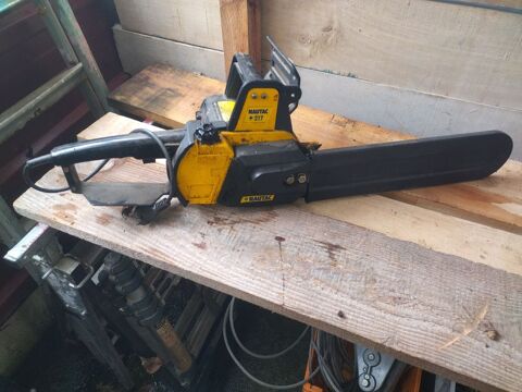 Tron�onneuse Electrique 50 Marcillac-Vallon (12)