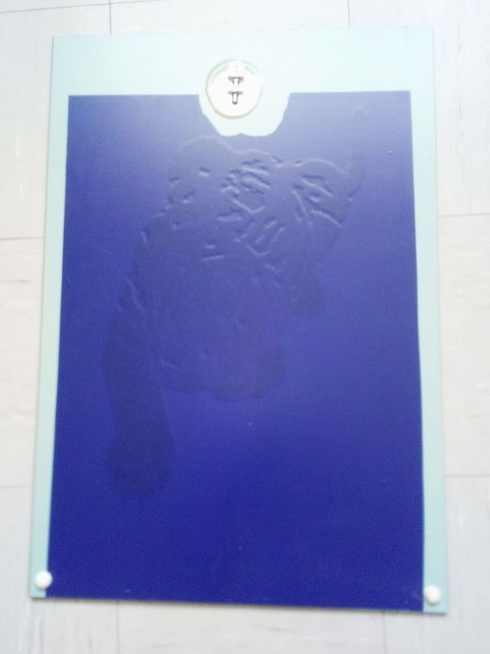 miroir d&eacute;cor tigre asie rare id&eacute;e cadeau Décoration